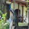 Jungle House
