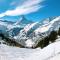 Chalet Achat by Zermatt Premium Apartments