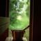 Kivi Talu Country Hotel