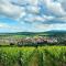 Comfort Aparthotel Mutzig Portes d'Alsace - 米齐格