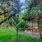 Podocarpus cottages