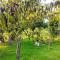 Podocarpus cottages