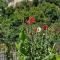 Apartment Plava Voda