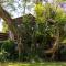 LA Guesthouse