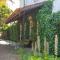 Casa Do Foral