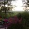 Lei Thar Gone Guest House