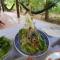 Ba Linh Homestay - Vĩnh Long