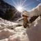 Alpenchalet Rauris
