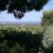 Bed and Breakfast La Casetta - Macchia di Monte