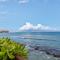 Hale Ono Loa 120 · HOL 120 Oceanfront 2BD w Ocean View AC Pool