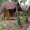 Jungle Hill Beach Bungalow - Koh Jum