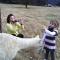 Foto: Starline Alpacas Farmstay Resort 108/135