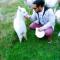 Foto: Starline Alpacas Farmstay Resort 118/135