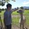 Foto: Starline Alpacas Farmstay Resort 119/135