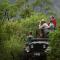 Hills & Hues - Thekkady