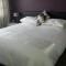 Premier Room
