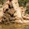 Agroturismo Son Marge