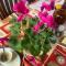 Zagorski’s Bed and breakfast