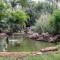Twangale Resort & Spa