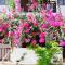 Hotel Angeliki