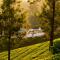 Munnar Valley View