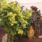 Corte Trullo Sovrano B&B