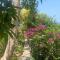 Bali Marina Villas - Amed