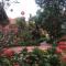 Tam Coc Friendly Homestay