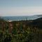 Mountain Magic Hoekwil