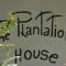 Foto: The Plantation House Travellers Hostel 22/35