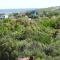 Casas Punta Negra