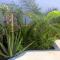 Residence A Paz