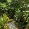 Plant Mama Guest House