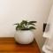 Plant Mama Guest House