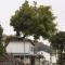 Dan’s Sea Guest House Hangzhou