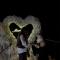 Mtirala Glamping