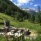 Chalet Stadel - Saas-Grund