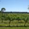 Villa in the Vines - Martinborough 