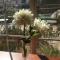 Garden Inn and Suites Fresno - فريسنو