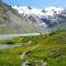 Foto: Hotel Roseg-Gletscher 53/66