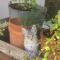 Oliveto Bed and Breakfast