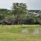 Sweetwaters Serena Camp - Nanyuki