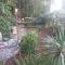 Apartments Duras