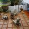 Owls Nest Self Catering