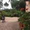 Foto: Sapa Garden Bed and Breakfast 198/206