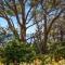 Amazing Views - Belle Escapes Jervis Bay