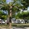 Camping Dal Pino