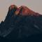 Forestis Dolomites