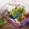 The Black Sheep Hostel