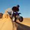 Palmeras Y Dunas Luxery Camp - مرزوقة